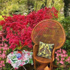 Meet your Posher, Amaris